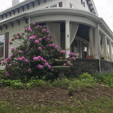 Bel'S Inn Bed And Breakfast Kingston Exterior foto